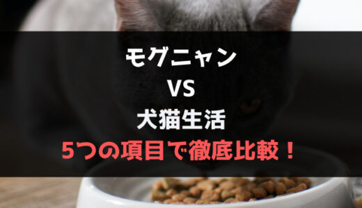 【キャットフード】モグニャンと犬猫生活を5つの項目で比較！おすすめはどっち？